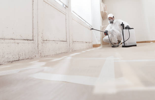 24/7 Emergency Mold Cleanup experts in Quincy, MI